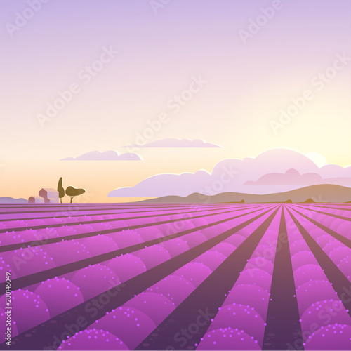 Vector flat landscape illustration of beautiful lavender field on sunrise: sky, mountains, cozy houses, lavender. For travel banner, card, touristic advertising, wedding invitation, brochure, flayer.