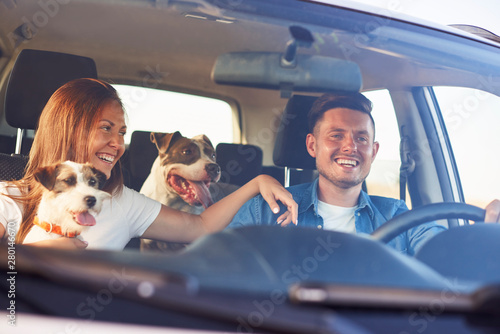Photography Happy couple with two dogs traveling by car