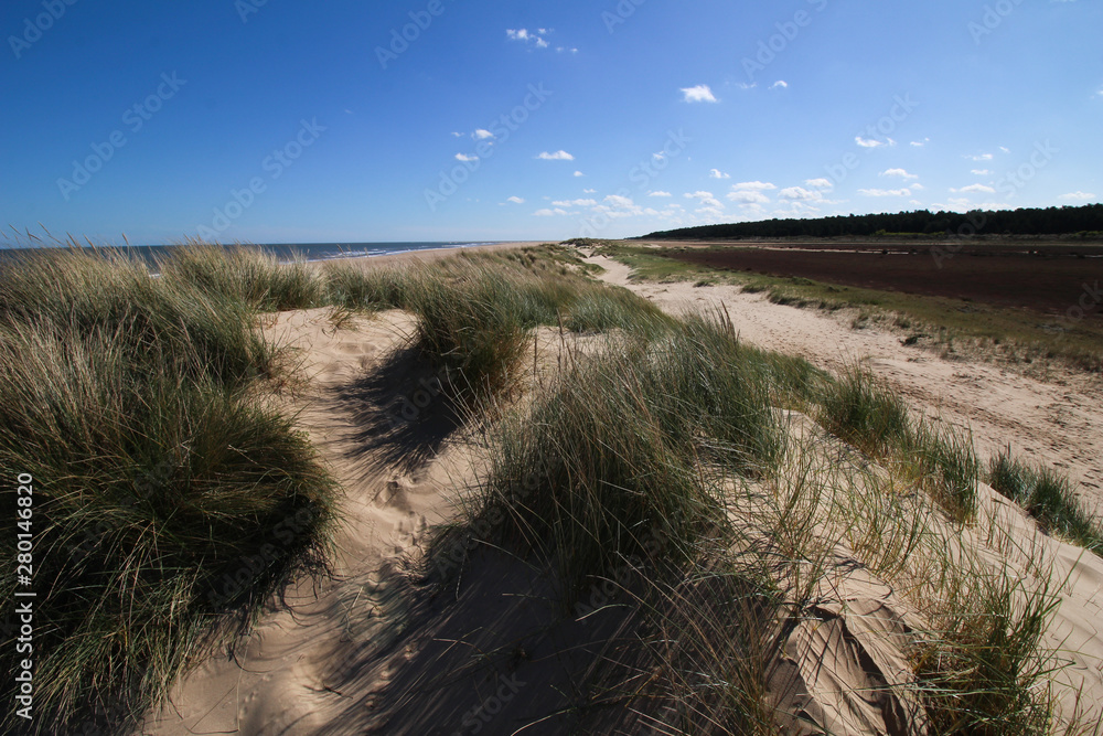 Fototapeta premium Holkham, Norfolk coast - North Norfolk 