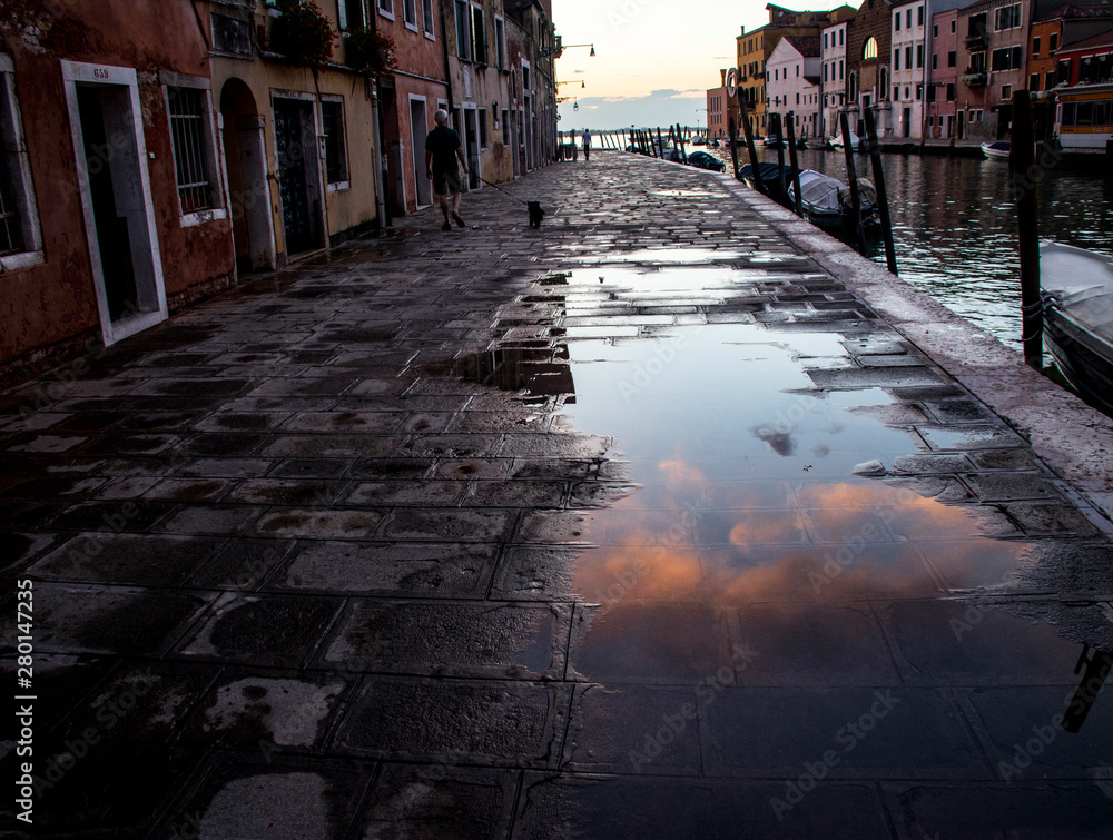 Fototapeta premium Reflejos