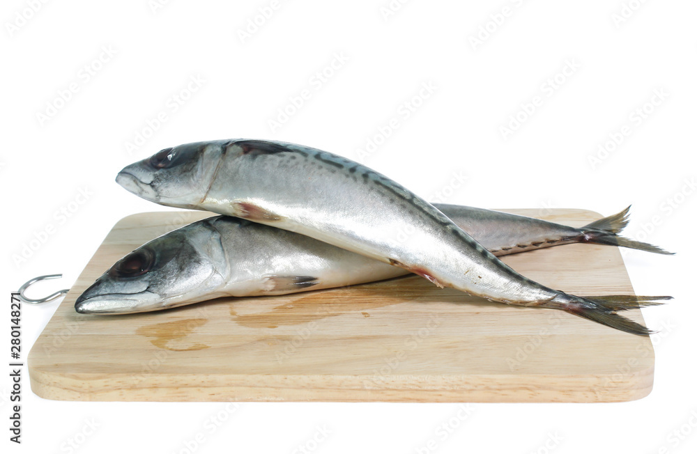 Fresh saba fish isolated on white background Fresh saba fish isolated on white background