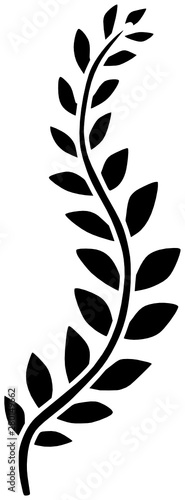 Vine Vector Plant Silhouette Black Illustration
