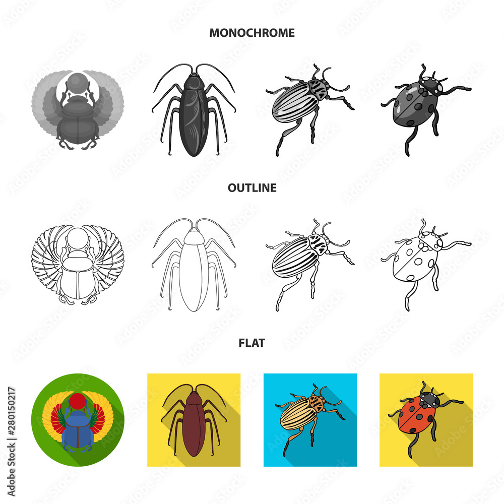 Vector design of insect and beetle logo. Collection of insect and halloween vector icon for stock.