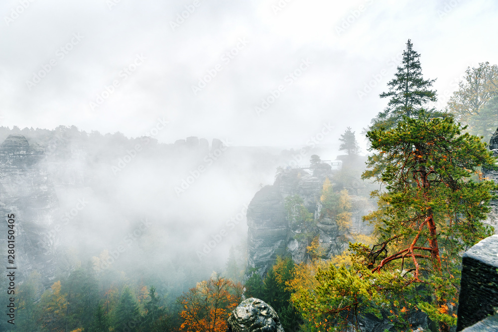 Fototapeta premium Foggy landscape of canyon and pine forest in National Park Saxony Switzerland, Germany. Spectacular and picturesque scene. Popular travel destination in Saxony, UNESCO world heritage site.