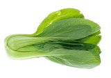 Chinese Vegetable cabbage on white background