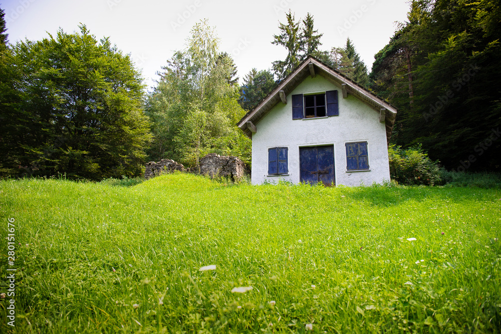 Little white cabin or barn in a green meadow, shoot from low point of view, with copy space.