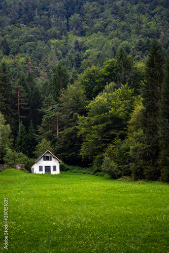 Mountain landscape with white barn or cabin in the distance across a green meadow. Vertical shot.