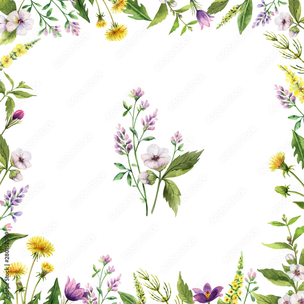 Watercolor hand vector painted card with field flowers.
