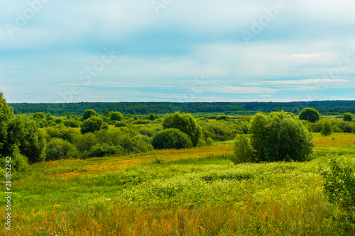 Russian expanses. summer rural landscape © Mariia Nazarova