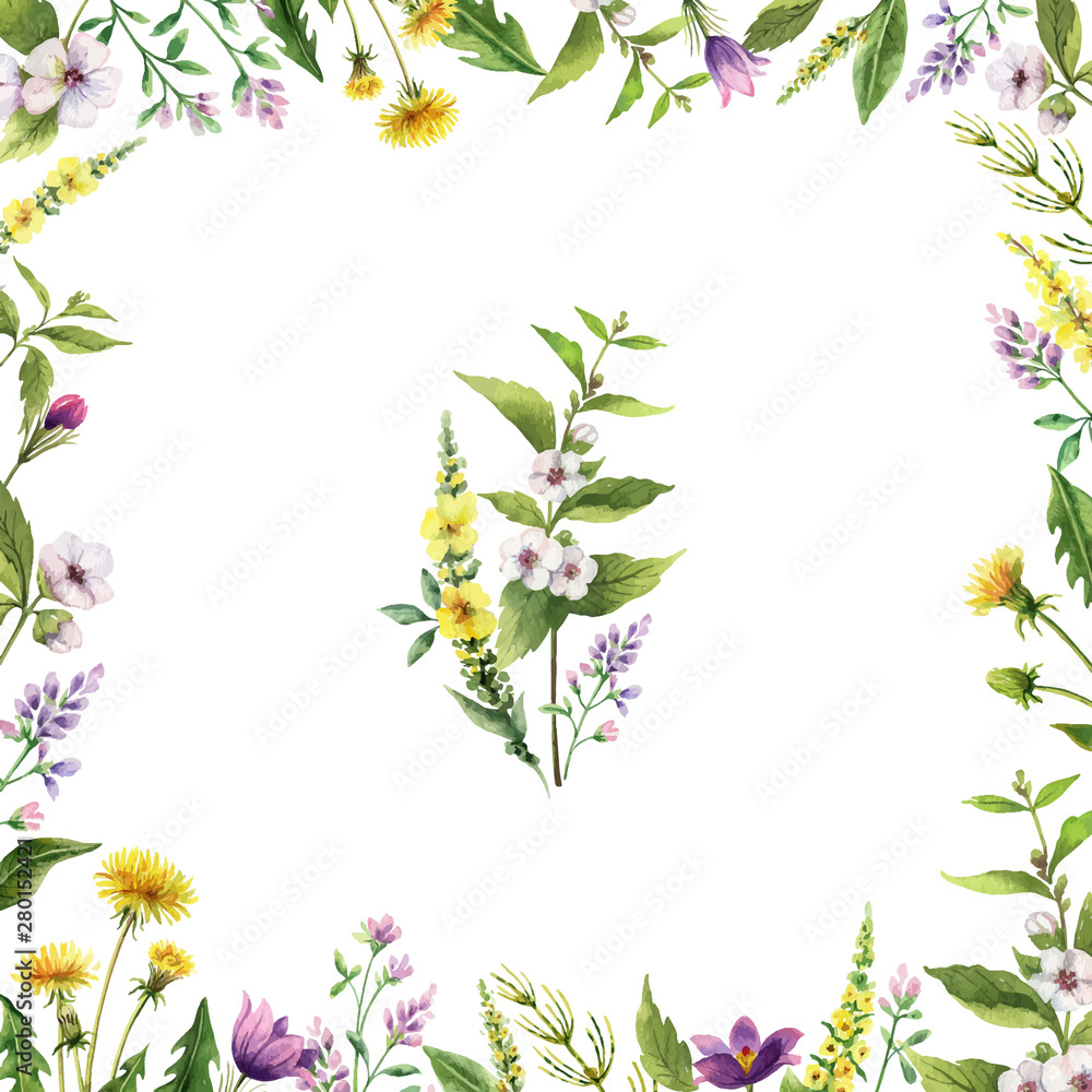 Watercolor hand vector painted card with field flowers.