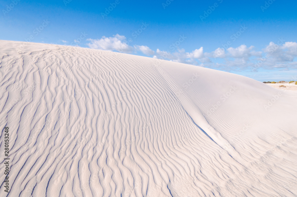 lancelin Dunes Natural Preserve, western Australia lancelin Dunes Natural Preserve, western Australia