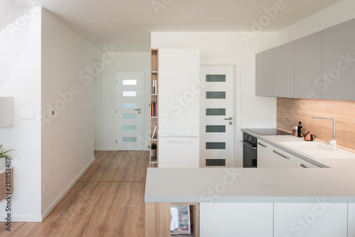 Interior of contemporary kitchen with built-in appliances