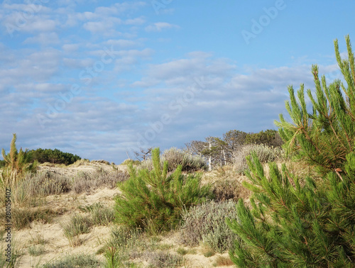 France. The landscapes of the Dunes du PIlat at the Atlantique coast