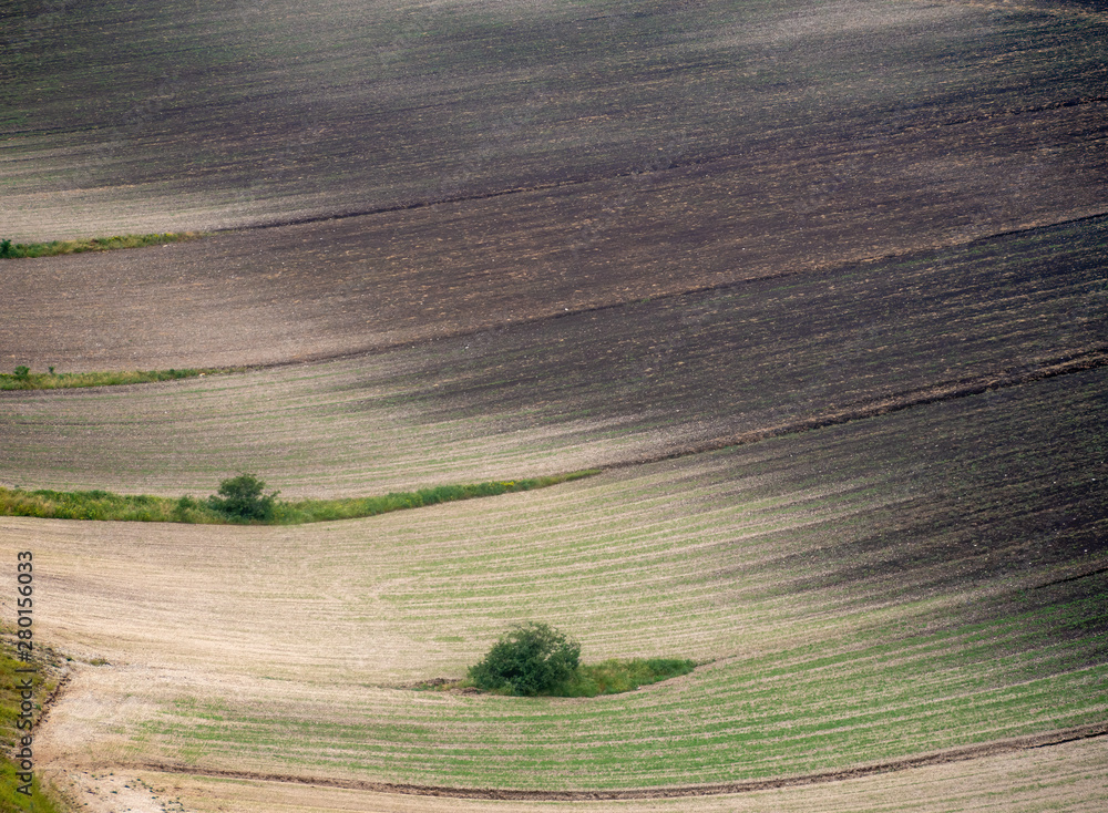 Castelluccio di Norcia, Umbria, Italy. Field detail, valley farming, abstract.