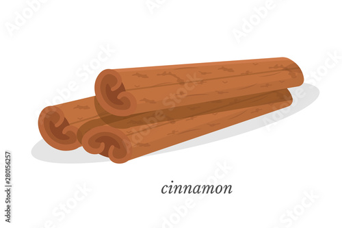 Cinnamon flat vector illustration with calligraphy