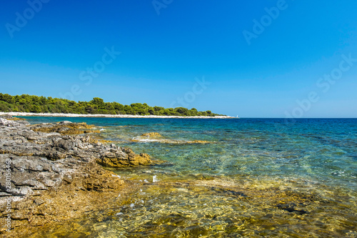 Croatia  Adriatic coast  rocky shore in turquoise sea  clear blue water on the island of Dugi Otok