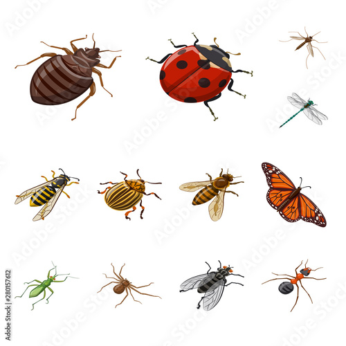 Vector illustration of insect and fly icon. Set of insect and entomology stock vector illustration. © Svitlana