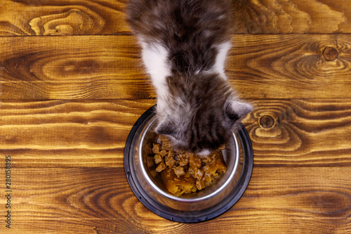 Small kitten eating his food from metal bowl on wooden floor