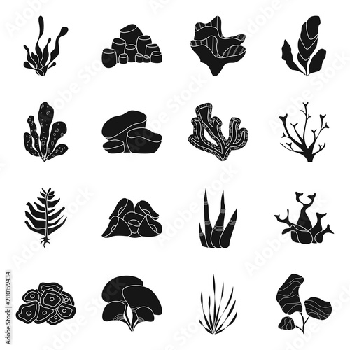 Vector design of decoration and wildlife sign. Set of decoration and aquarium stock vector illustration.