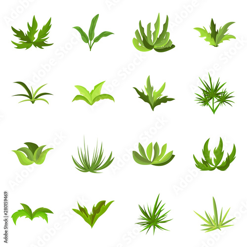 Isolated object of garden and grass symbol. Collection of garden and shrub stock symbol for web.