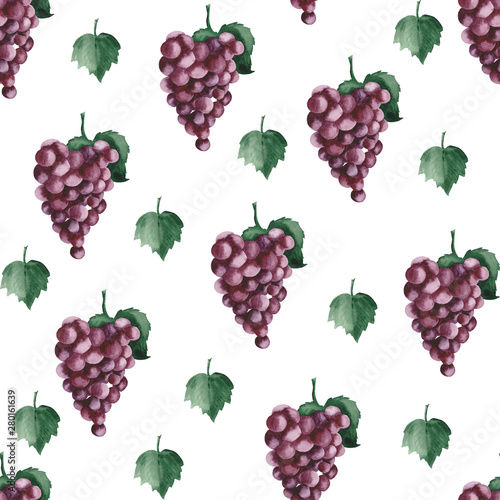 Fototapeta Naklejka Na Ścianę i Meble -  Watercolor pattern with purple grapes on a white background.