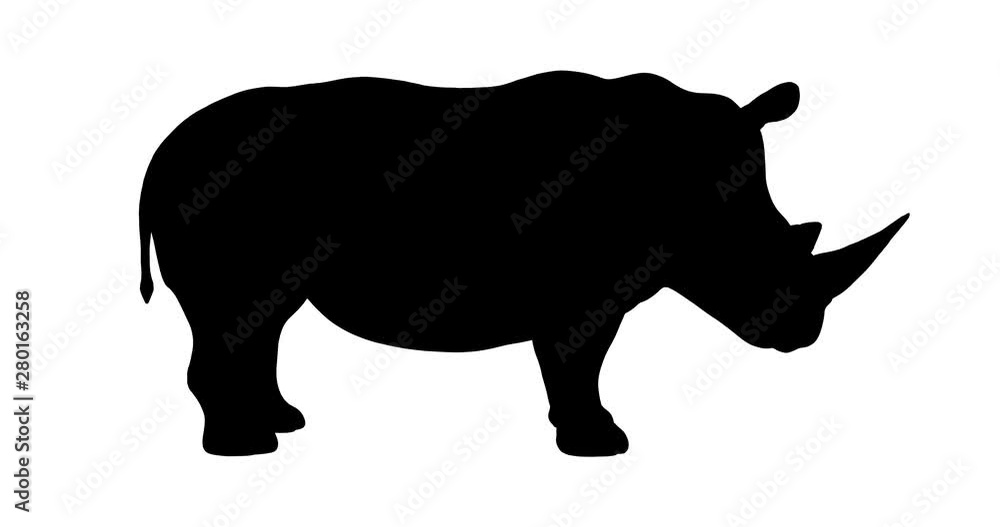 Rhino silhouette. Turntable animation. Rhino silhouette. Turntable animation.