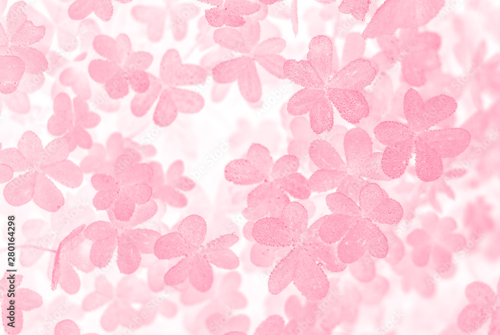 Creative abstract pattern background, pastel pink leaves on white background.