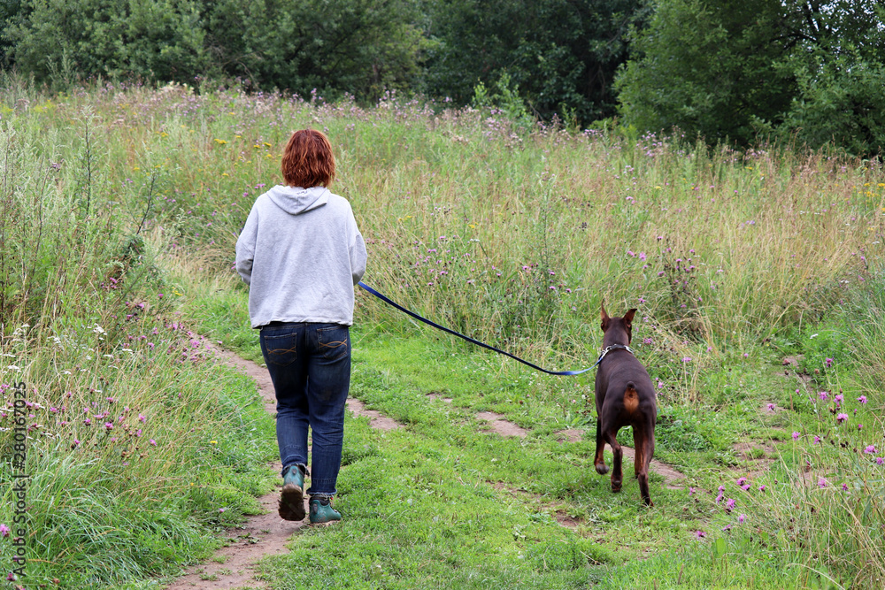 Woman and dog running in a green meadow with wildflowers. Summer walking on a nature, healthy lifestyle, redhead girl on a morning jog after a rain