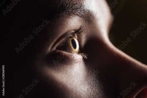 Slika na platnu close up view of young woman eye with eyelashes and eyebrow looking away in dark