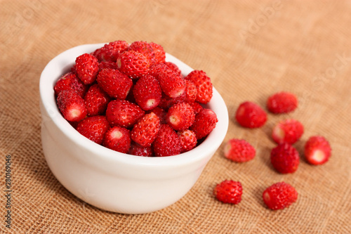 bowl of wild strawberries