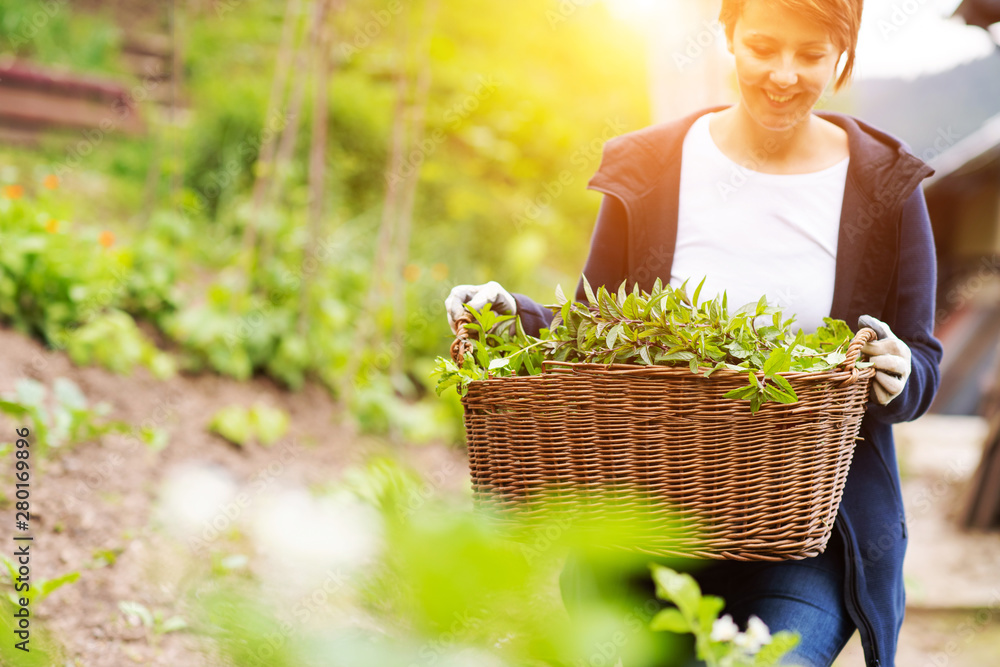 woman gardening woman gardening