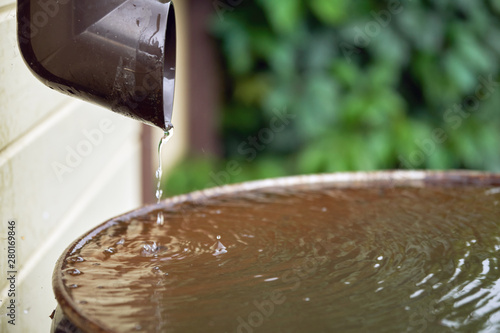 Фотография Rain water flows from a plastic drainpipe to the metal barrel in garden