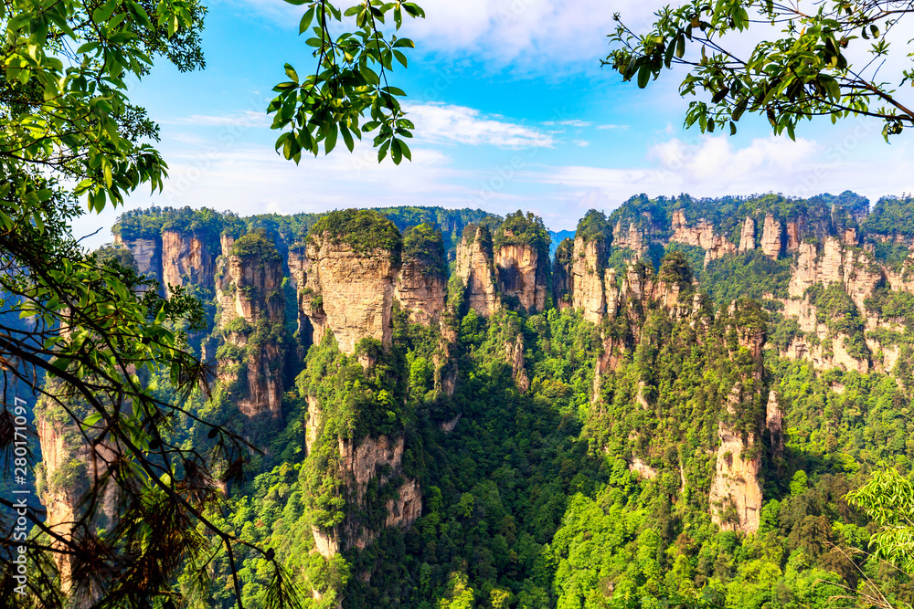 Zhangjiajie National Forest Park. Gigantic quartz pillar mountains rising from the canyon during summer sunny day. Hunan, China. Famous tourist attraction.