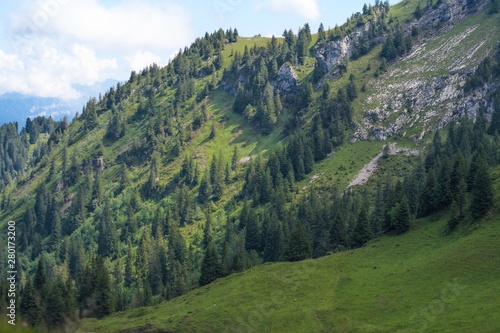 Beautiful swiss alps mountains. Alpine meadows. © ALENA