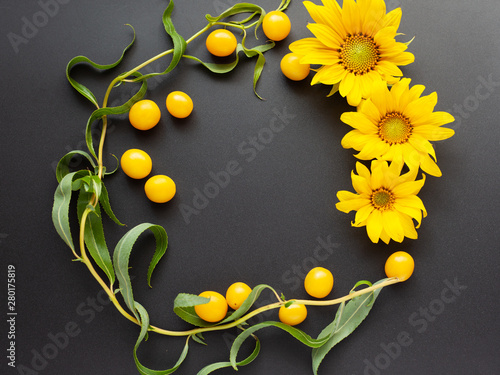 summer frame flat lay, mockup of flowers of sunflower, cherry plum and twigs of the salix matsudana tortuosa tree on a dark background copy space top view photo