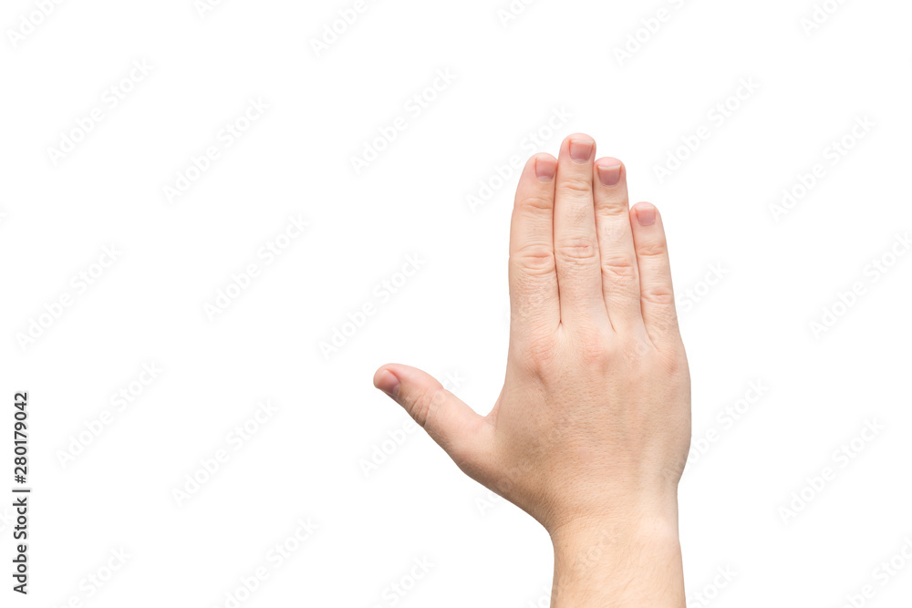 male hand with short nails