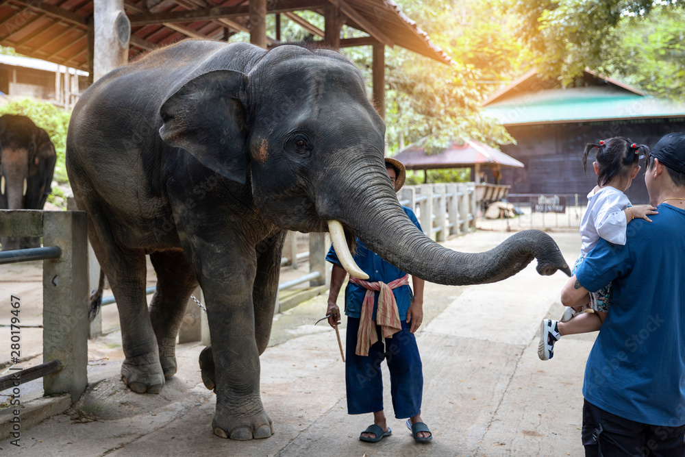 Dad and daughter watch and feed an elephant bananas.Young Father and