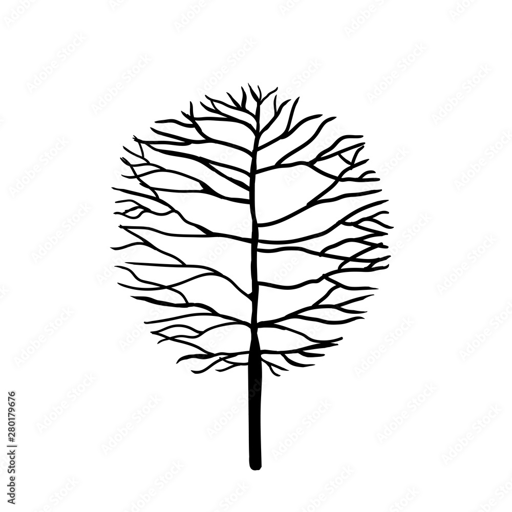 hand drawn naked tree silhouettes isolated on white background
