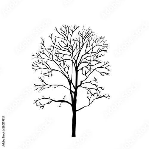 hand drawn naked tree silhouettes isolated on white background