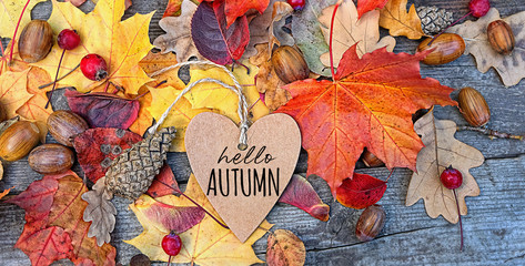 hello autumn. Autumn Background with heart greeting card and colourful leaves over wooden board. Thanksgiving wooden table decorated bright autumn leaves. Autumn season, fall backdrop
