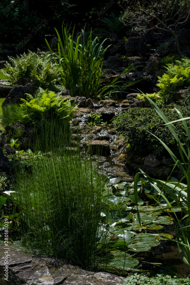 Obraz premium Beautiful and well-kept small green garden.