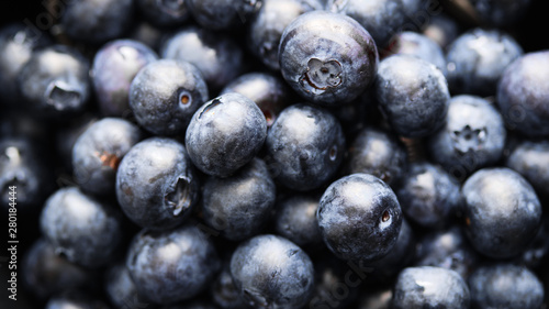 Close-up of ripe and juicy fresh picked blueberries.
