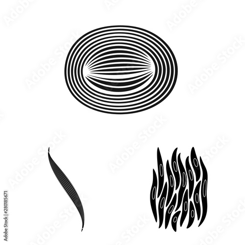 Vector illustration of human and body icon. Collection of human and cells vector icon for stock.