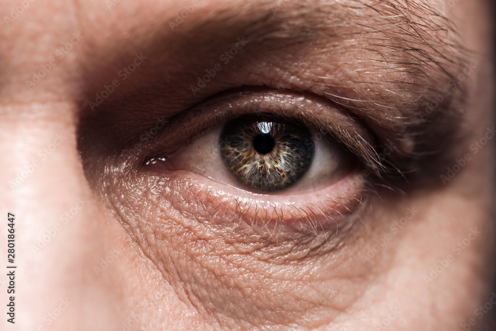 close up view of mature man eye with eyelashes and eyebrow looking at camera close up view of mature man eye with eyelashes and eyebrow looking at camera