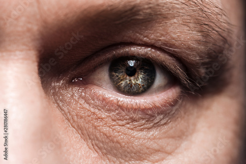 close up view of mature man eye with eyelashes and eyebrow looking at camera
