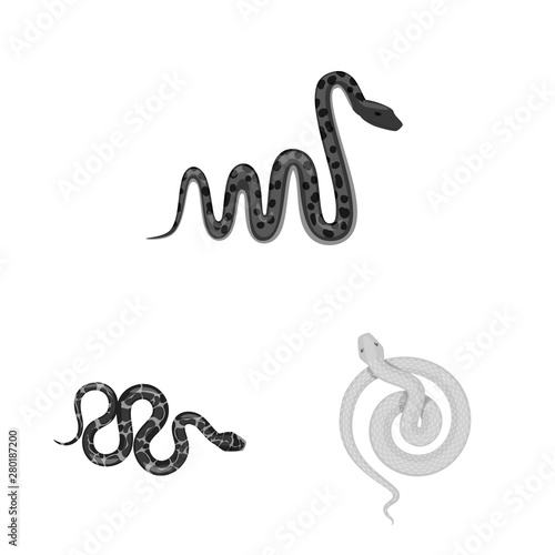 Vector design of harm and bite icon. Set of harm and reptile stock vector illustration.