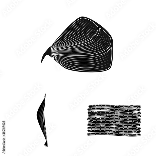Vector design of human and body logo. Set of human and cells vector icon for stock.