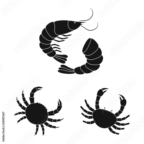 Vector design of market and marine sign. Collection of market and sea stock symbol for web. © pandavector