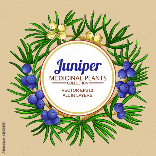 juniper vector frame