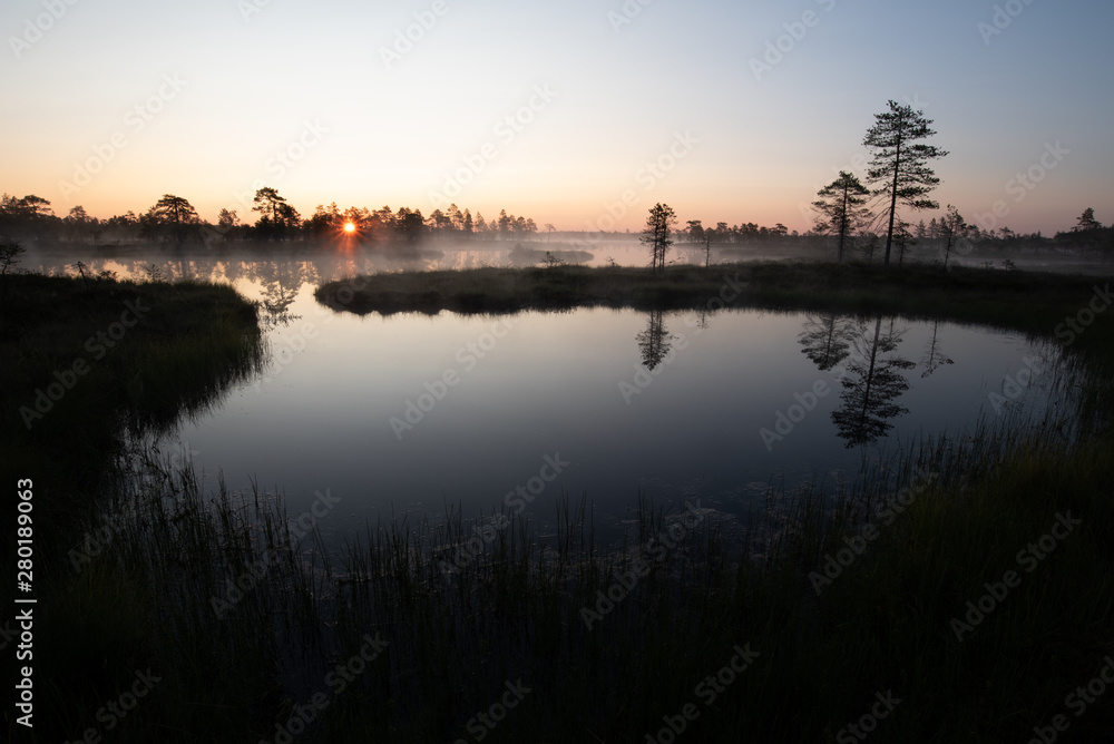 Sunrise over lake with sun star and tree silhouettes